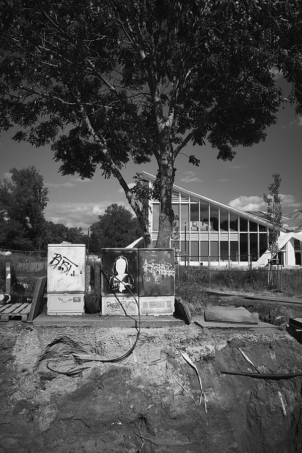 Shadows and Structure - A stark monochromatic study explores the tension between organic chaos and architectural order
