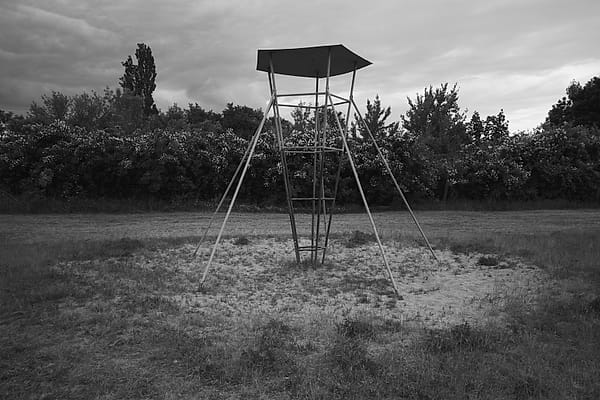 The Solitary Sentinel - This monochromatic study captures a profound sense of stillness and anticipation within a rural landscape