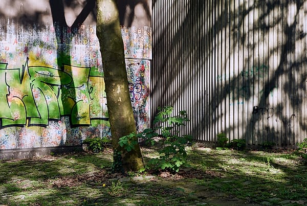 Dappled Urban Light - A quiet interplay of natural light and urban decay creates a textured study of contrasts