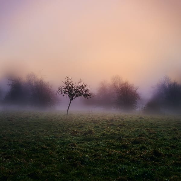 Solitude in Morning Mist - A profound sense of stillness permeates the scene, where the rigid lines of reality soften into a dreamlike haze of pastel hues