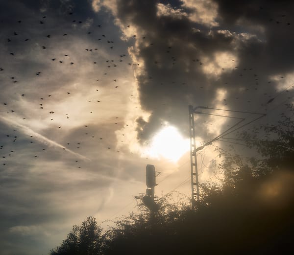 Flight in Golden Haze - This atmospheric composition explores the intersection of the mechanical and the organic, unified by a piercing, ethereal light