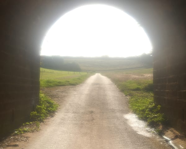 The Sunlit Passage - A journey from the heavy shadows of the foreground into an overwhelming, hazy brightness defines this atmospheric perspective