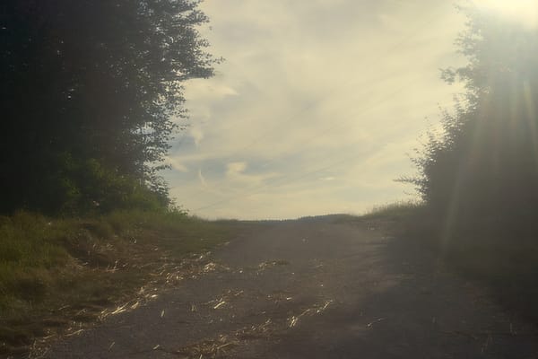 Luminous Country Ascent - An overwhelming sense of luminous warmth permeates this rural scene, blurring the line between the physical path and the atmospheric light