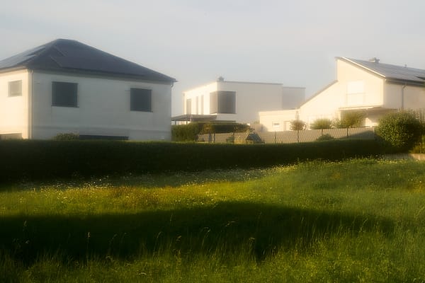 Soft Morning Haze - A pervasive, milky luminosity softens the rigid geometry of a modern residential neighborhood, transforming the mundane into something dreamlike