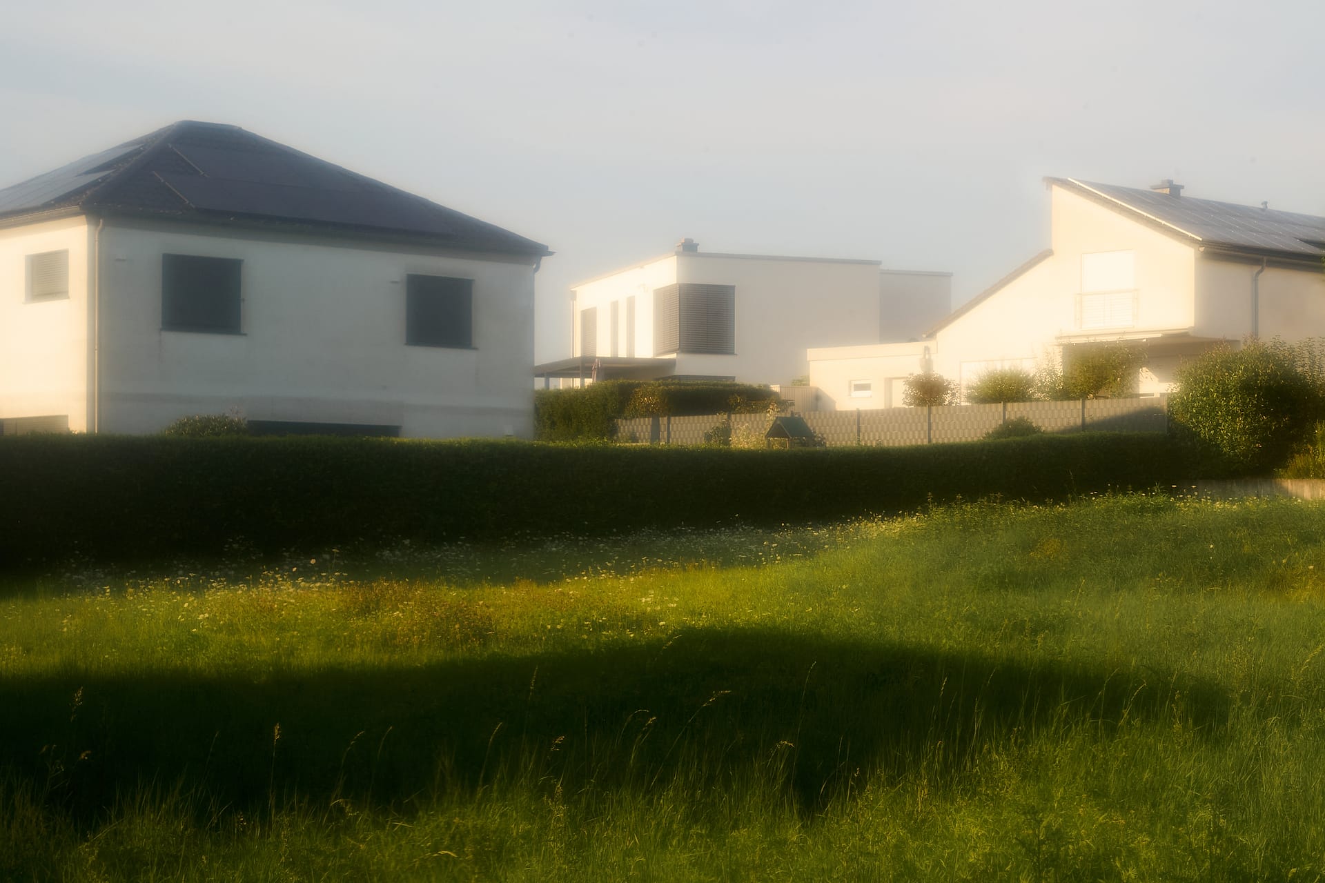 Soft Morning Haze
