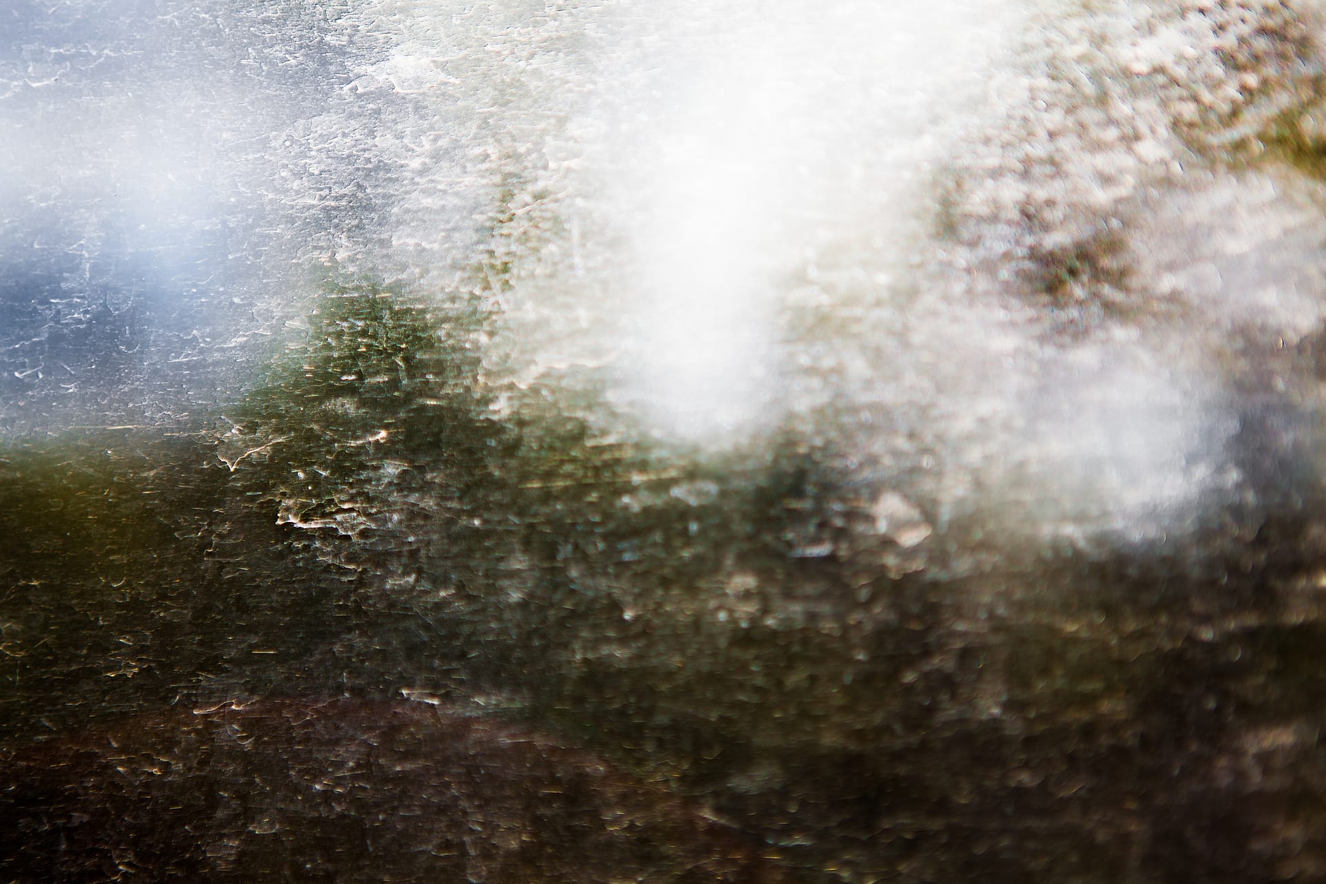 Veiled Morning Light