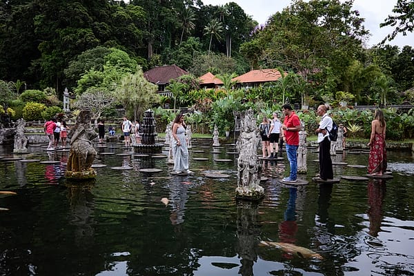 The Sacred Water Garden - A tranquil convergence of human curiosity and ancient stillness permeates this lush, aquatic landscape