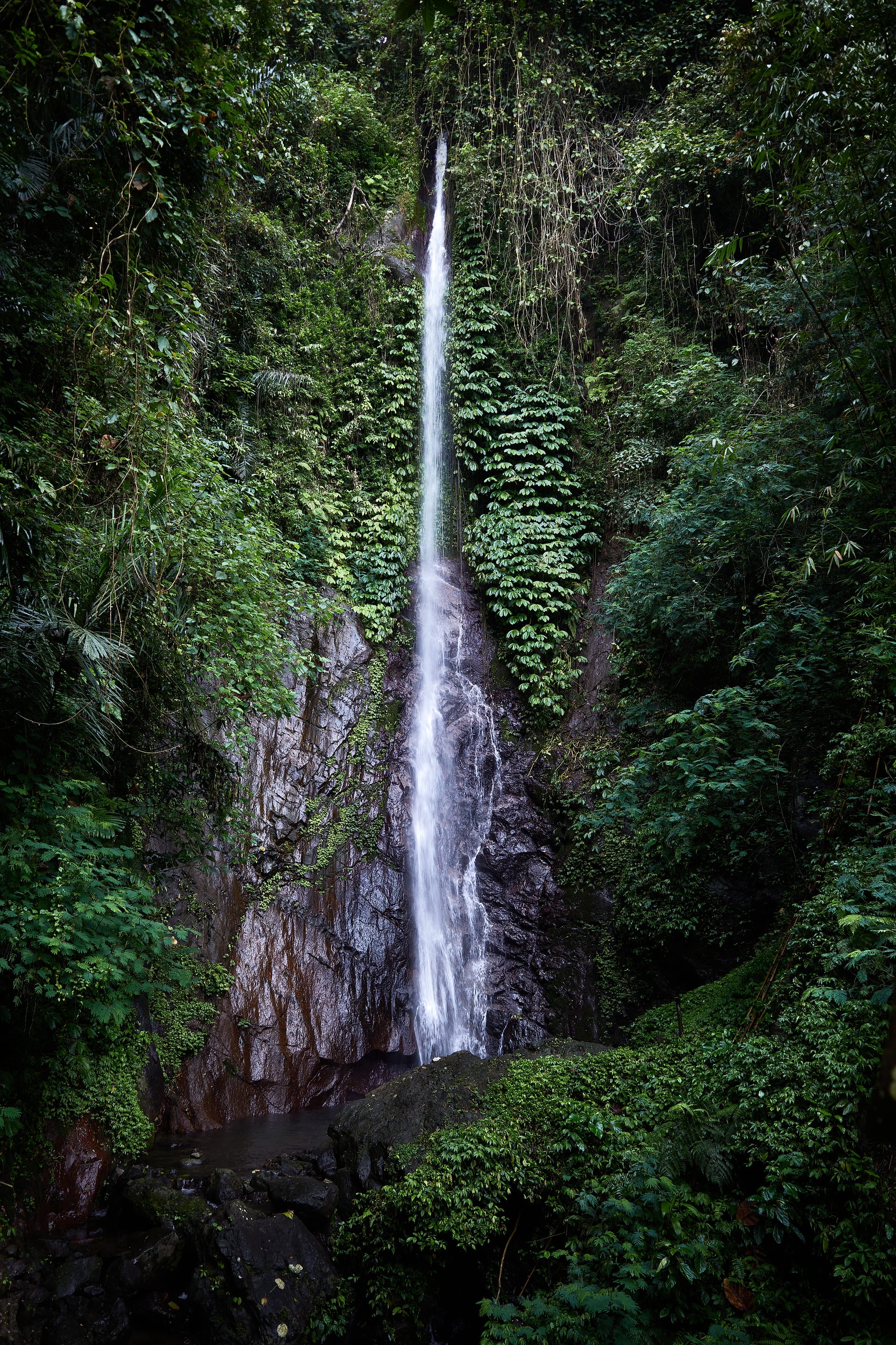 Verdant Cascade