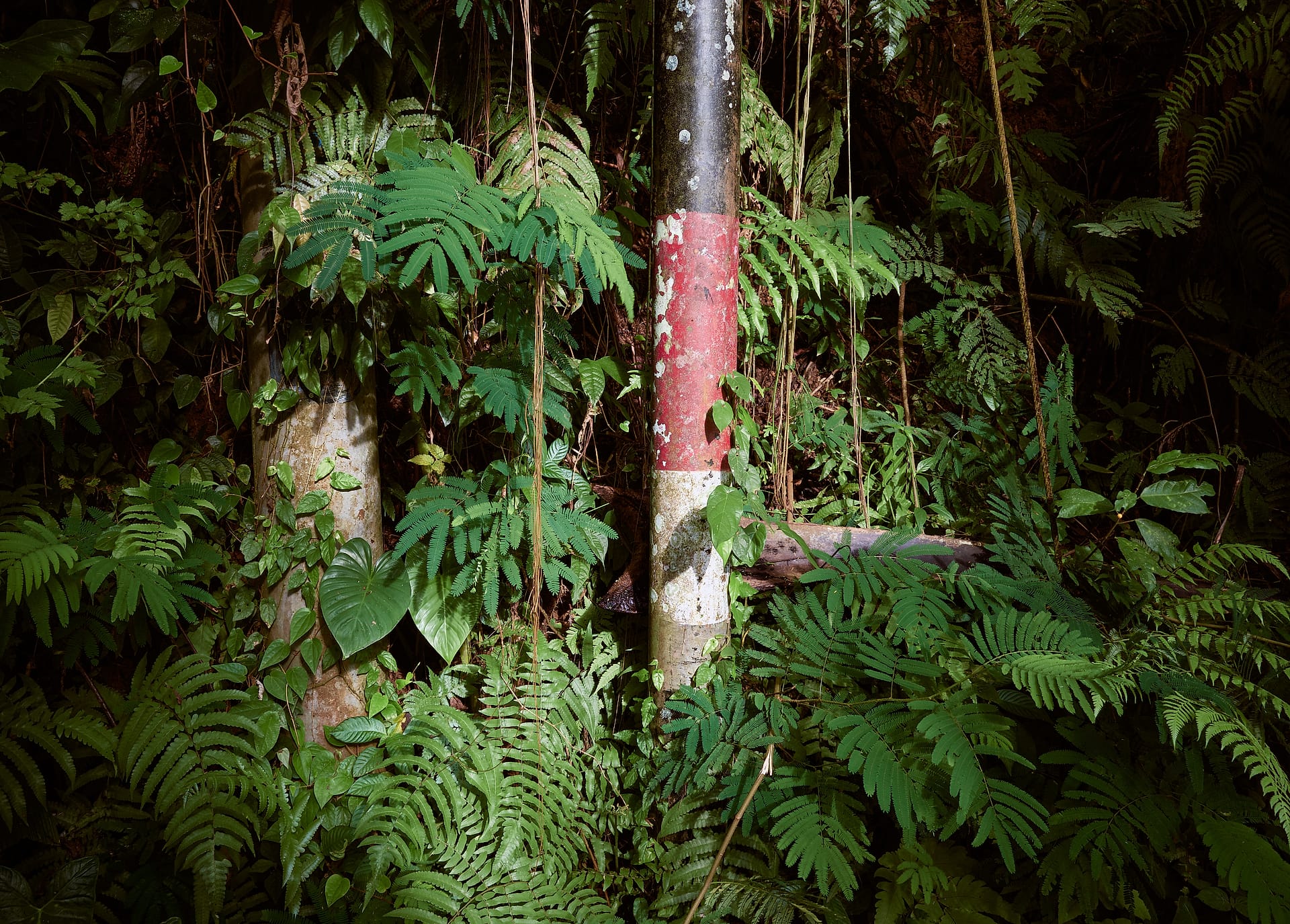 The Painted Boundary