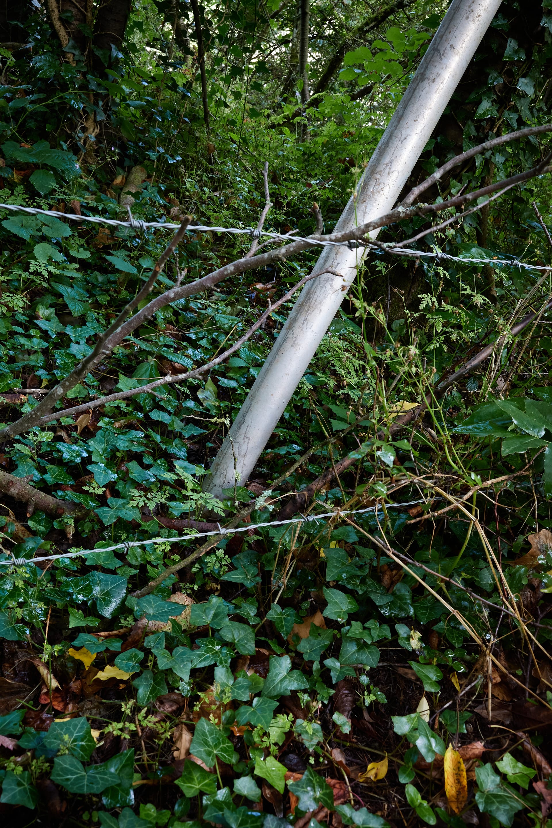 The Leaning Grey Post