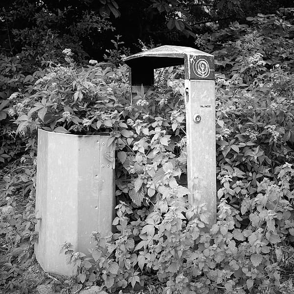 Quiet Encroachment - The work captures the silent, persistent reclamation of industrial objects by the natural world