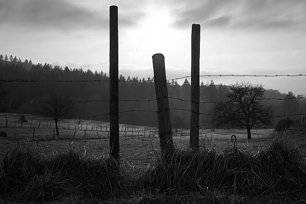 The Quiet Divide - A stark monochromatic study of separation and rural solitude, where the harsh geometry of man-made barriers intersects with the soft, rolling contours of the natural world