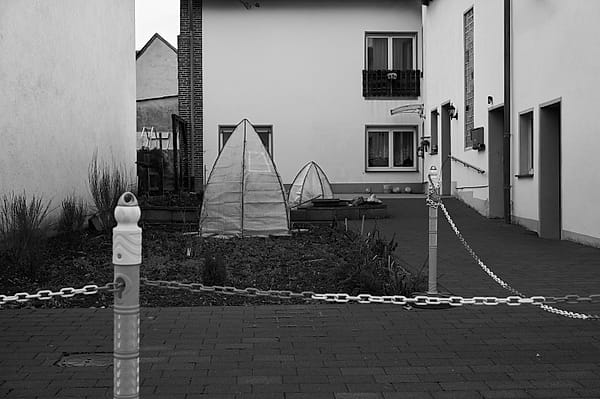 Suburban Stillness - The monochromatic composition captures the silent, rigid geometry of a secluded residential space