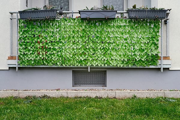 Verdant Balcony Veil - A vibrant tapestry of foliage transforms a mundane architectural element into a breathing entity
