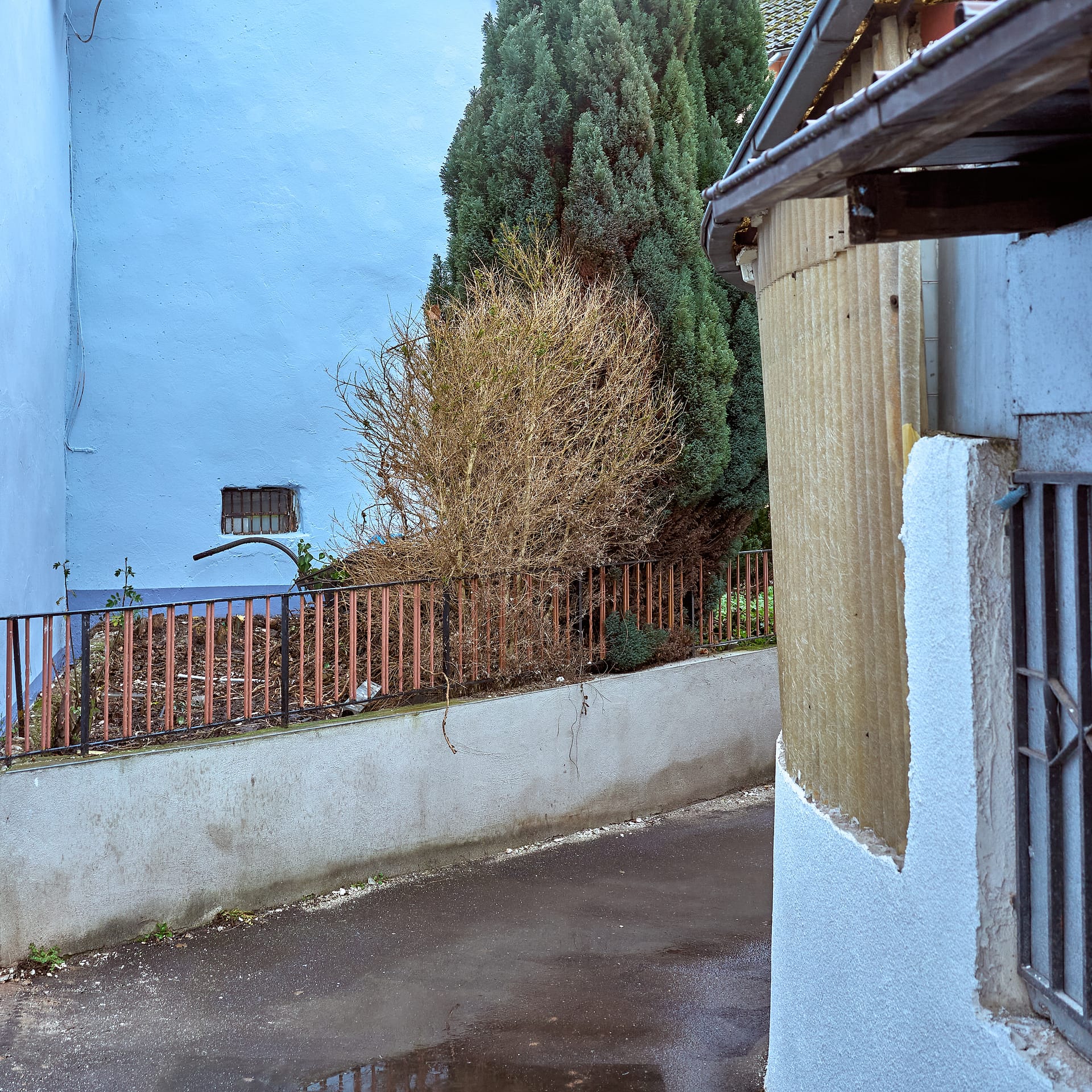 Quiet Blue Corner
