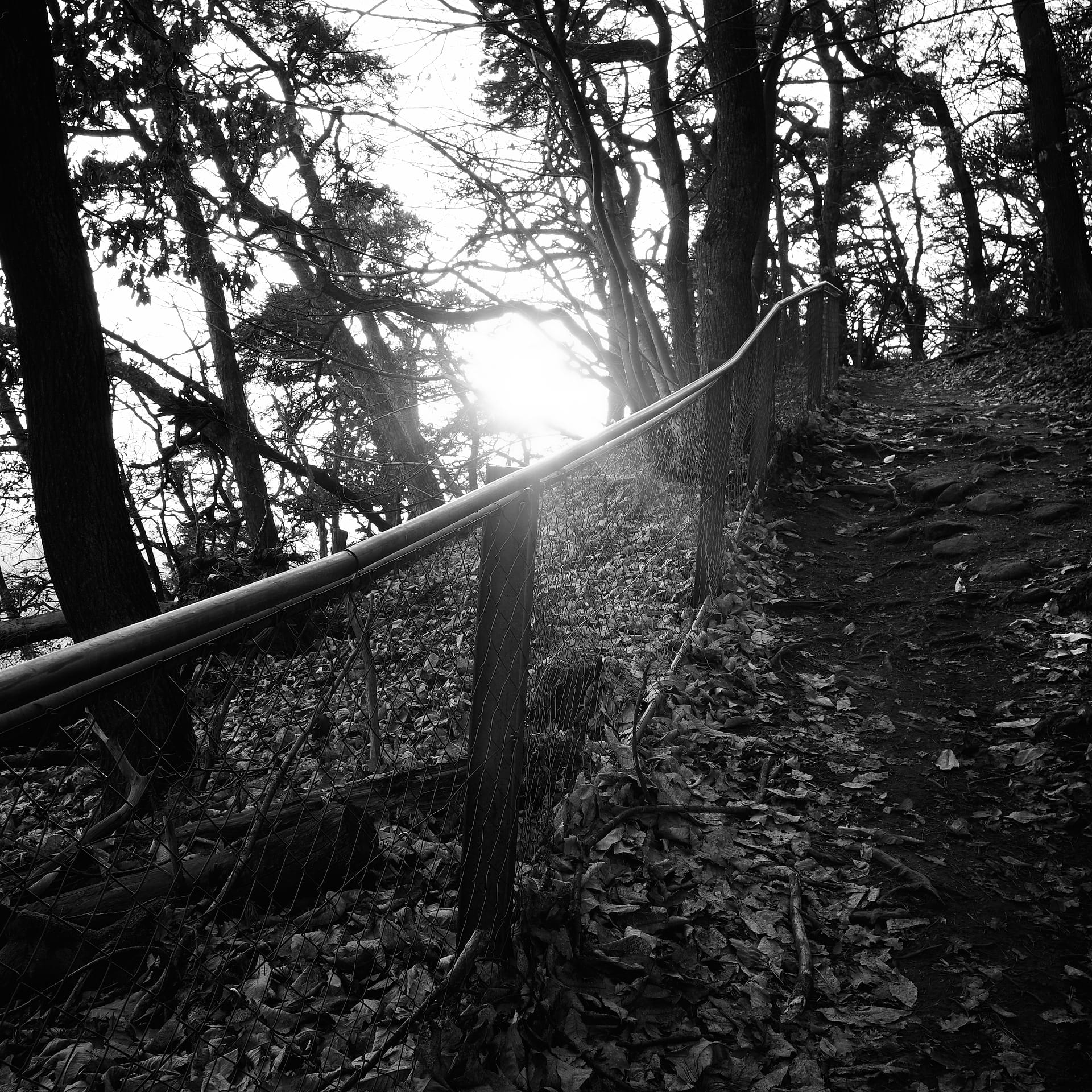 The Silent Ascent