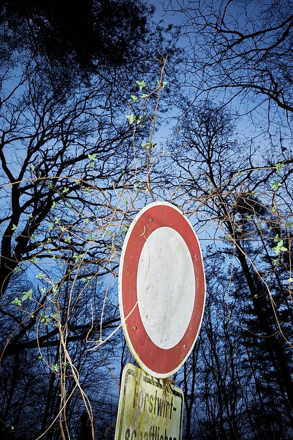 The Entangled Restriction - A stark symbol of human regulation stands resilient yet besieged, slowly being woven into the chaotic tapestry of the forest canopy
